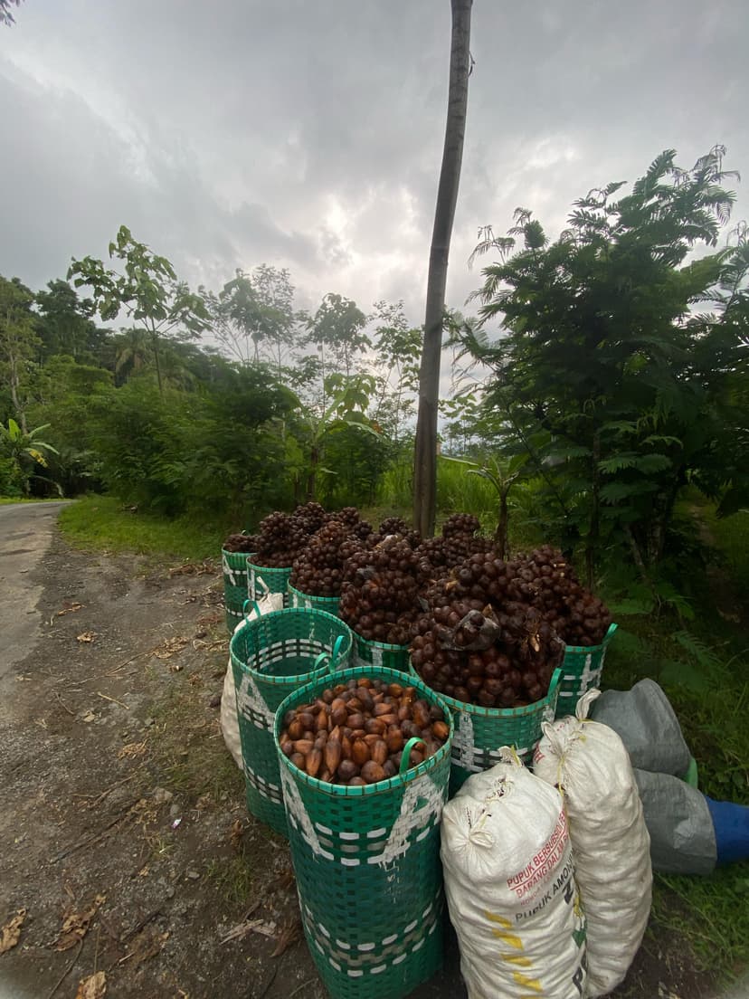 Salak